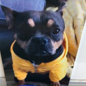 Meet your Posher, Brooke